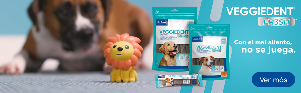 Nuevo Veggiedent Fr3sh